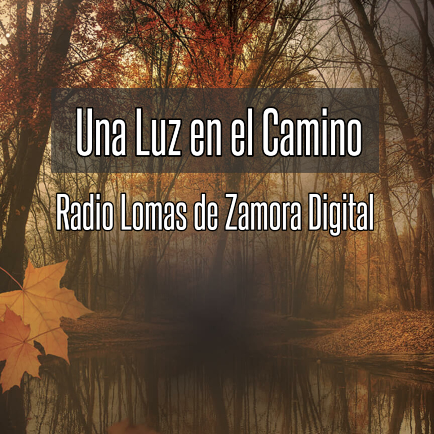 Radio Lomas de Zamora Digital