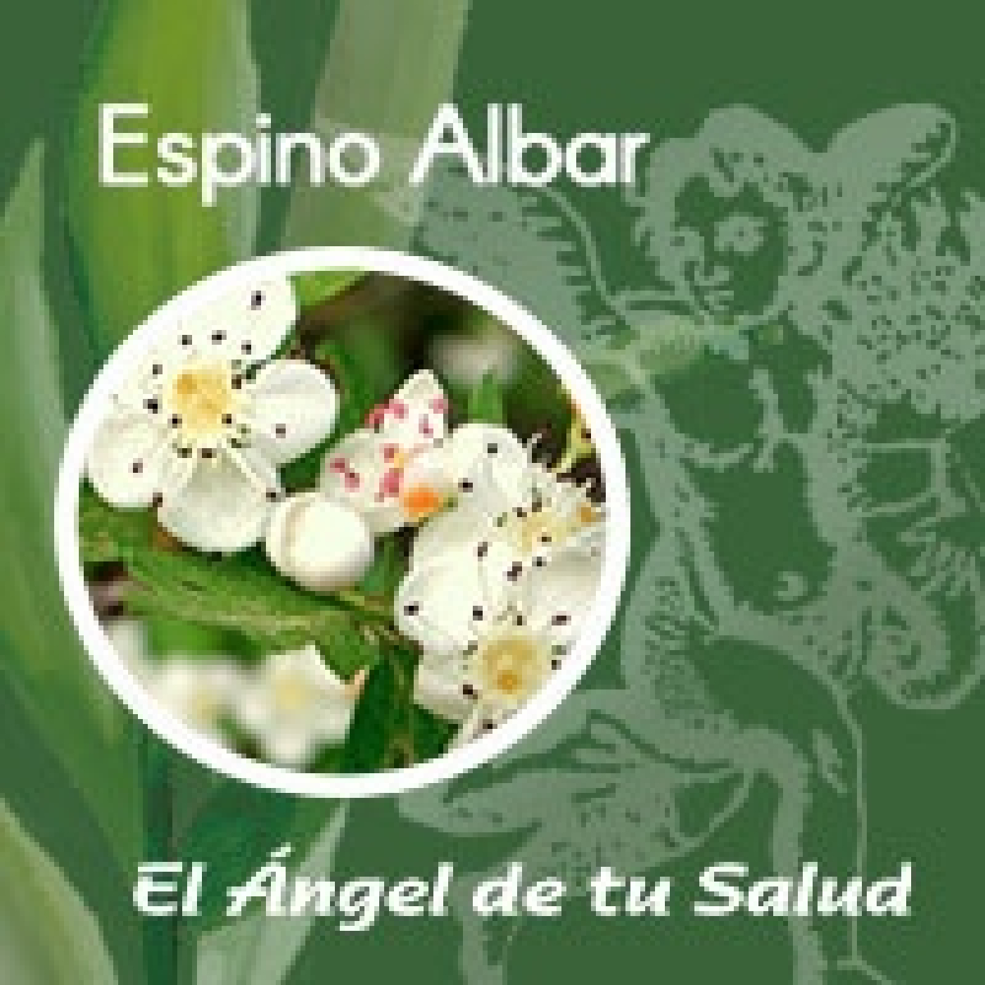 El Ángel de tu Salud - Espino Albar** episode artwork