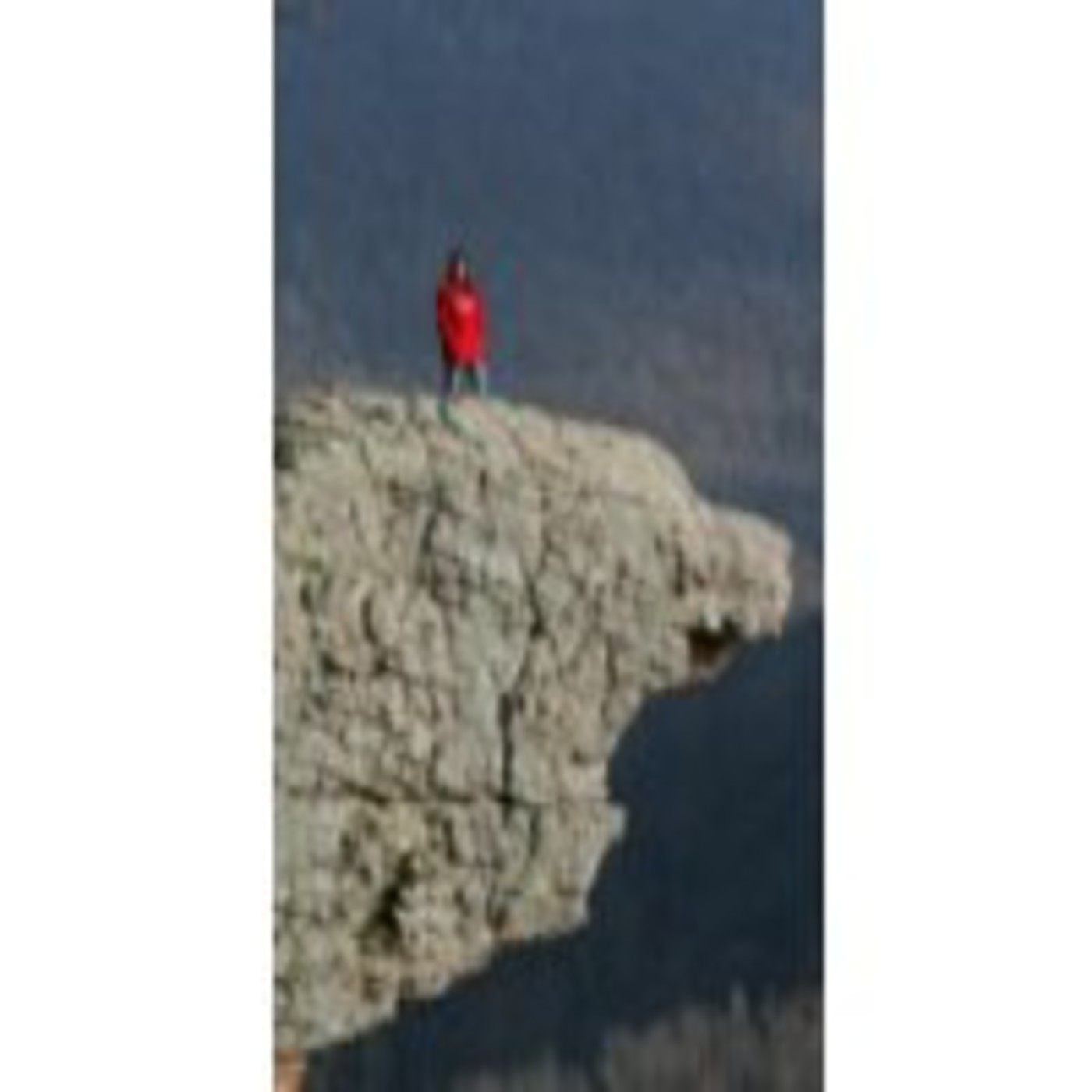 Podcast Ingresos Hoy en Día - Paloma Reino