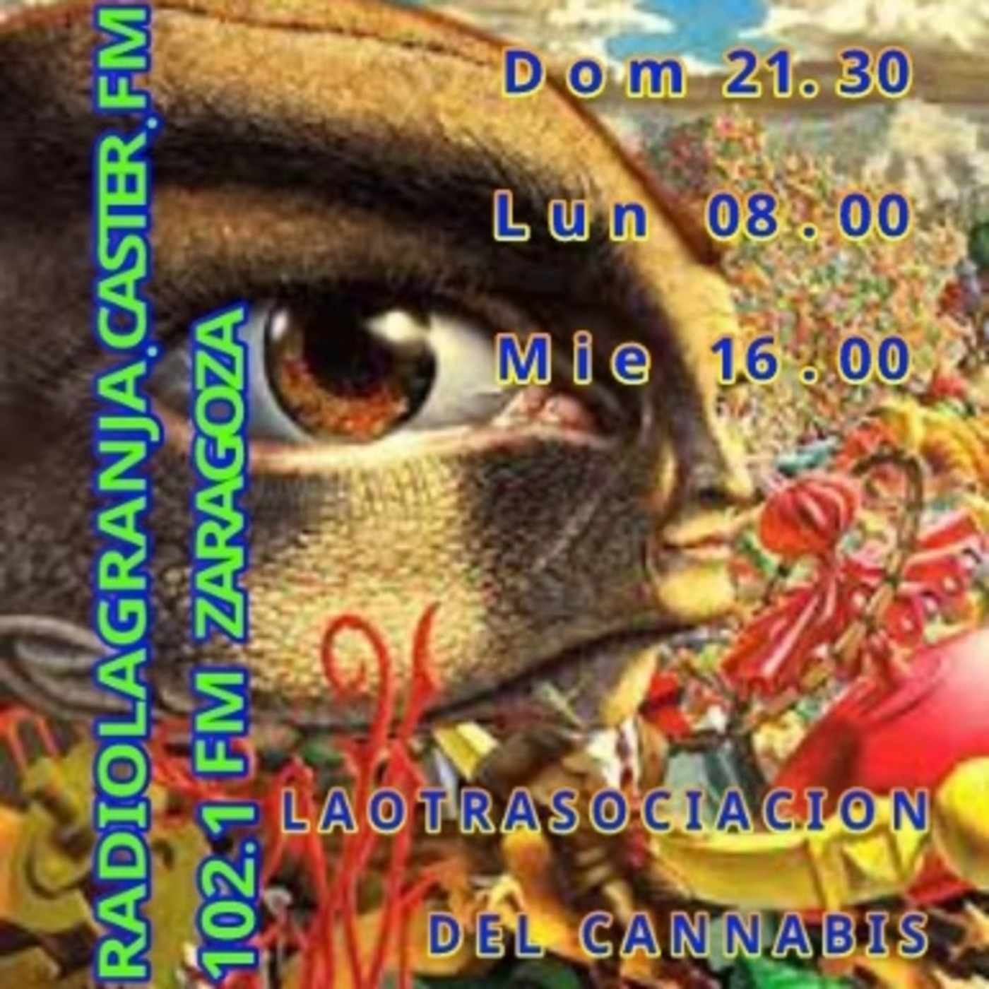 Del Peyote al LSD, Una odisea psicodélica  episode artwork