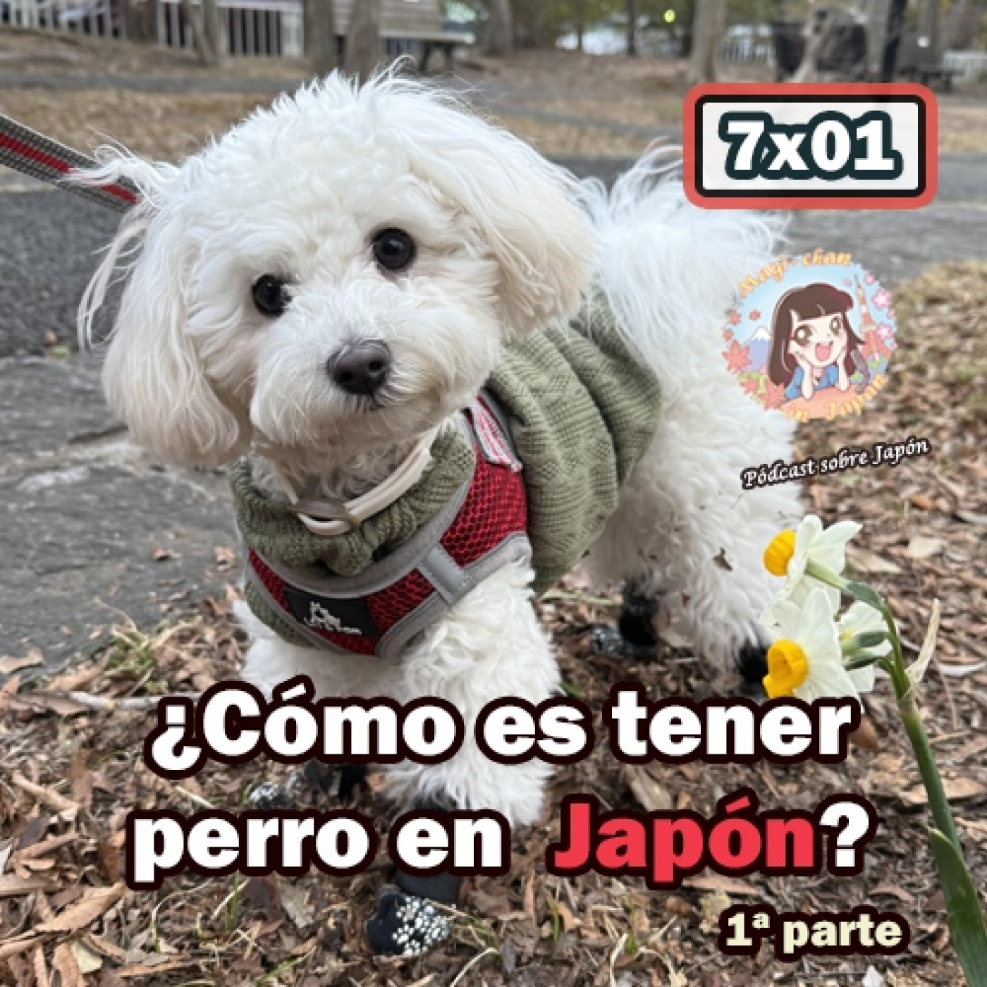 Mayi Chan in Japan - Pódcast sobre Japón