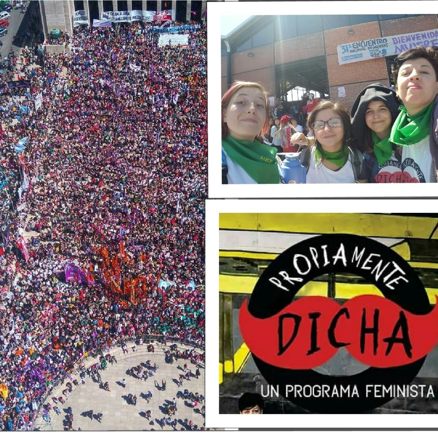 Programa 15 Propiamente Dicha