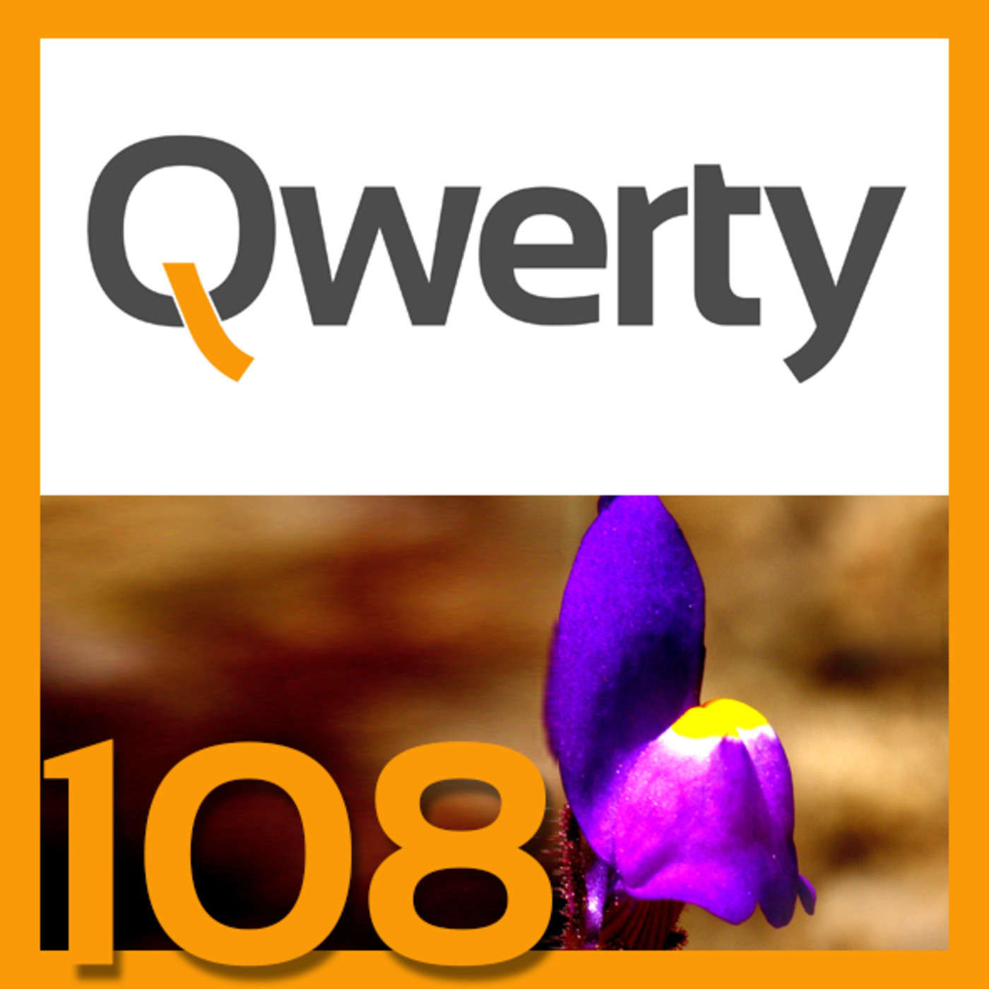 108_Dos siglos con un nombre equivocado episode artwork
