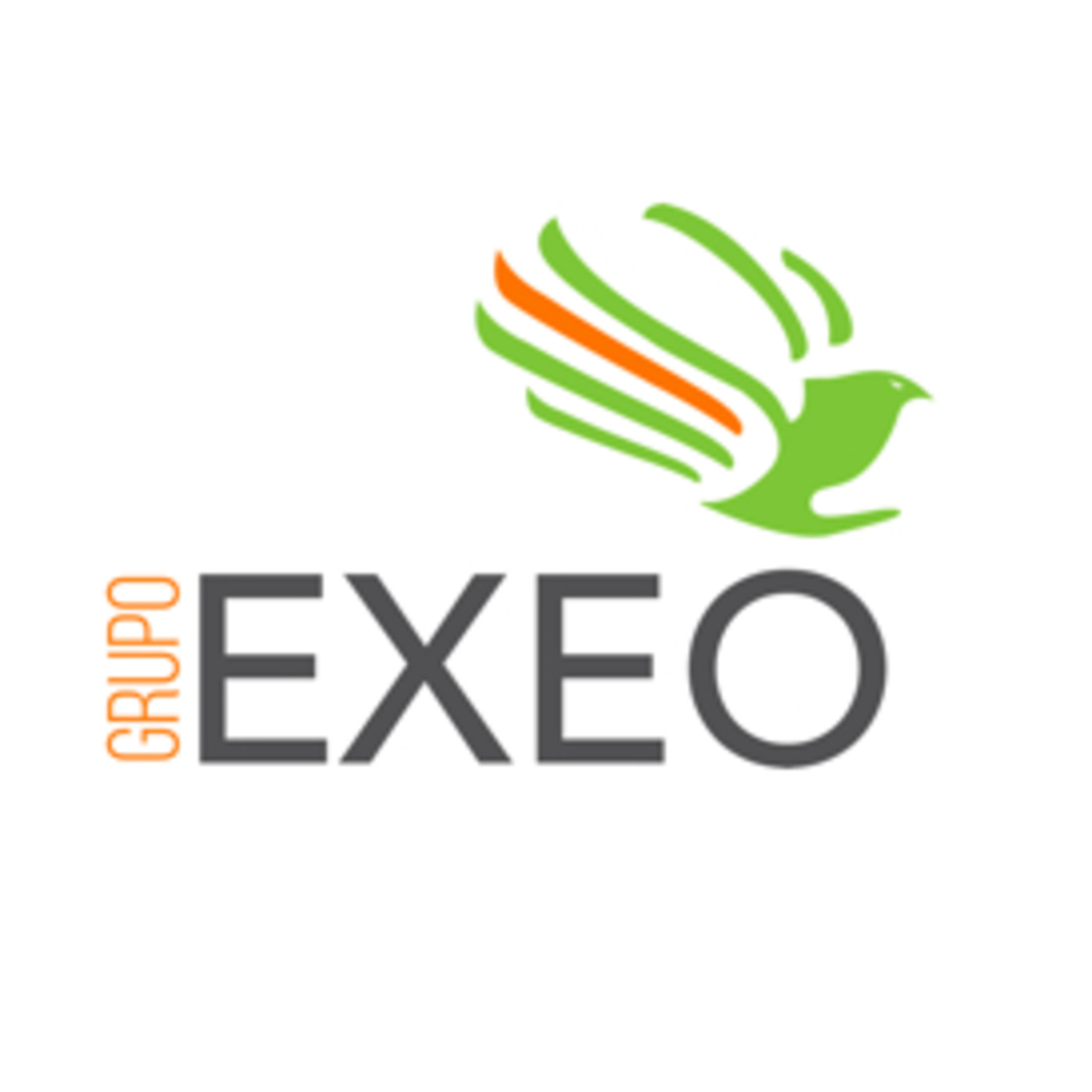 GRUPO EXEO
