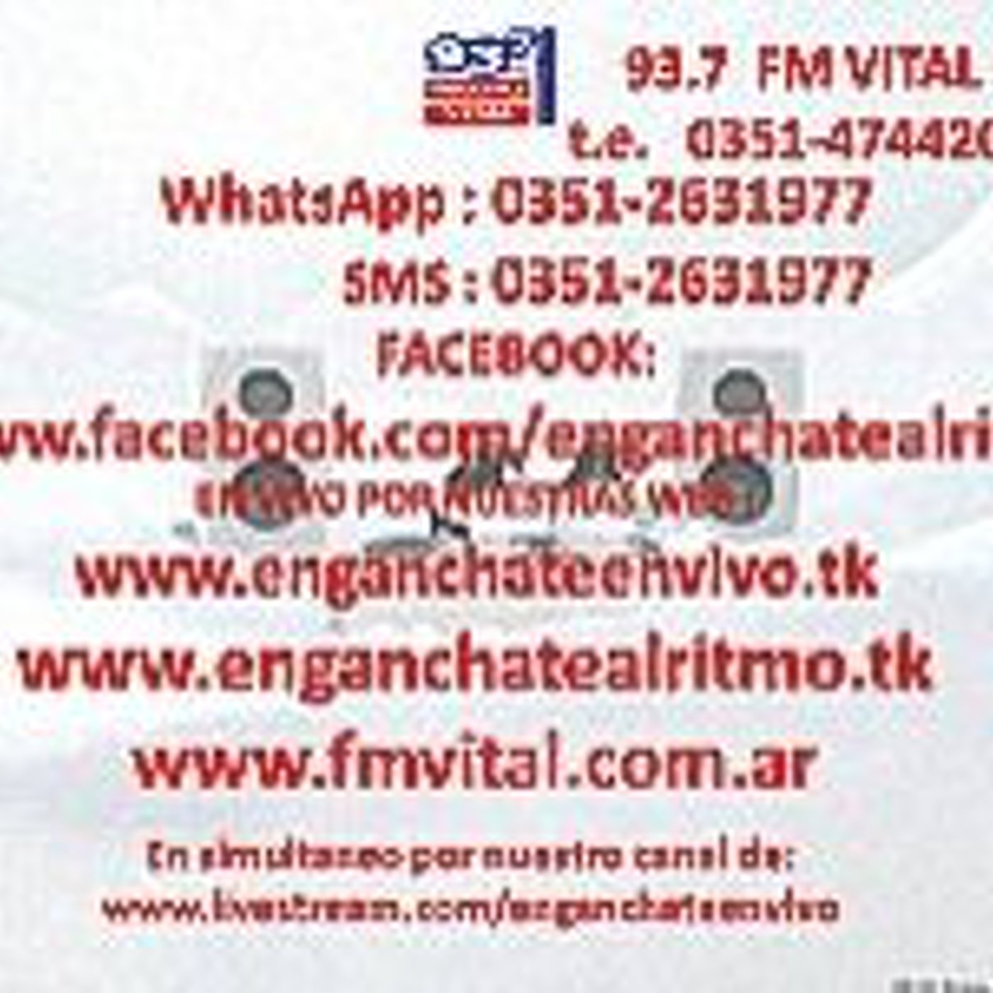 Programa 21.02.2015