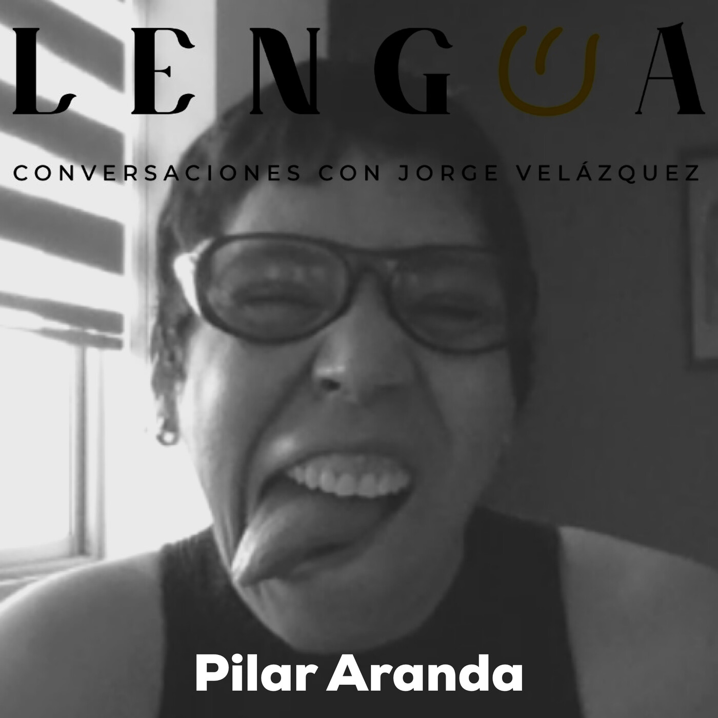 Lengua, conversaciones con Jorge Velázquez