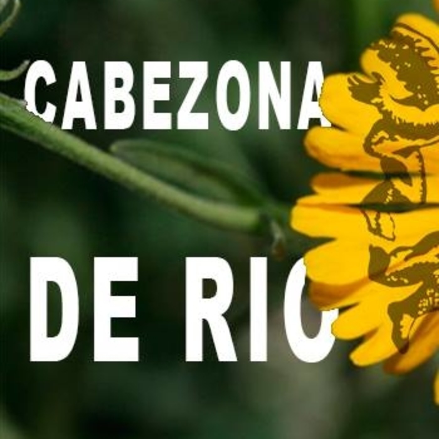 El Ángel de tu salud - CABEZONA DE RIO episode artwork