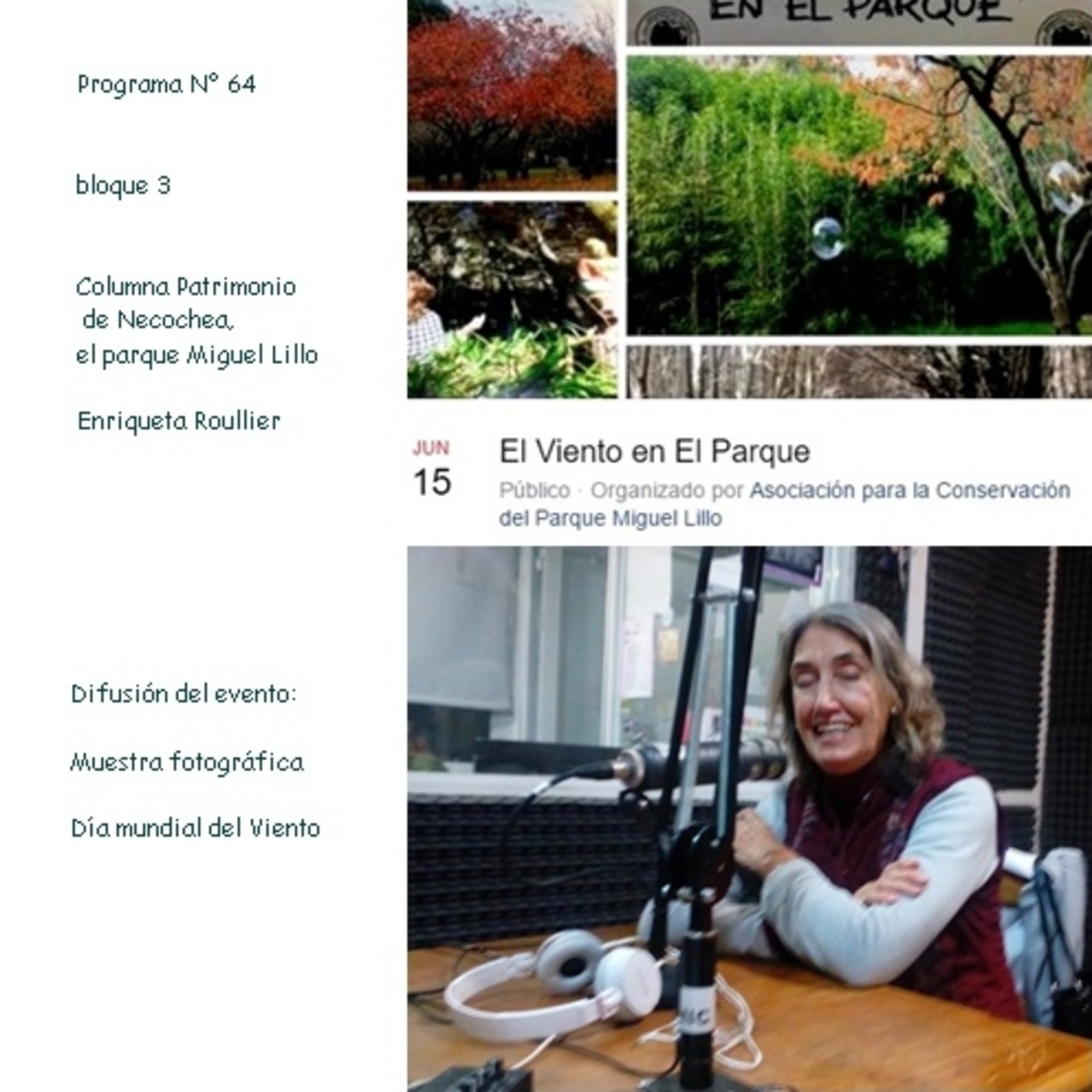 Programa Nº 64 - El parque no se vende (bloques 3) episode artwork