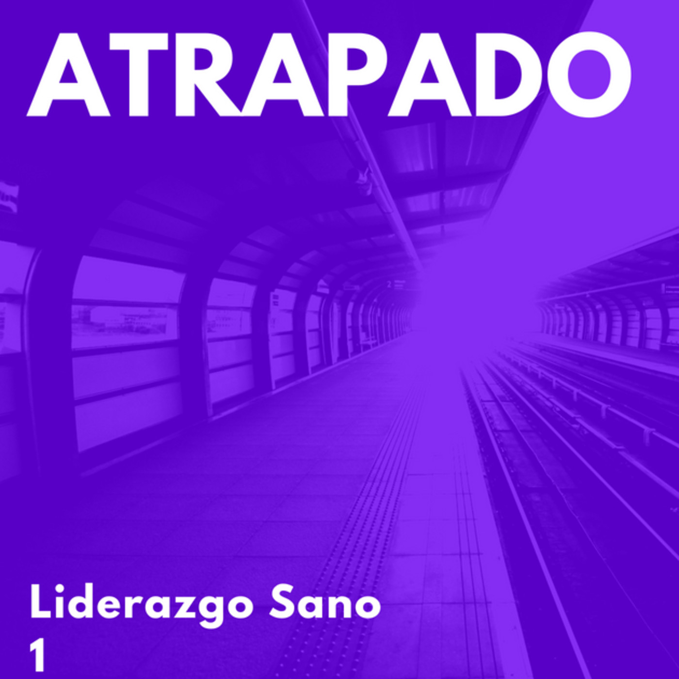 Liderazgo Sano