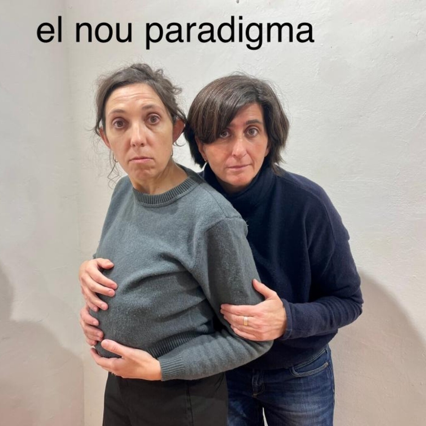 EL NOU PARADIGMA