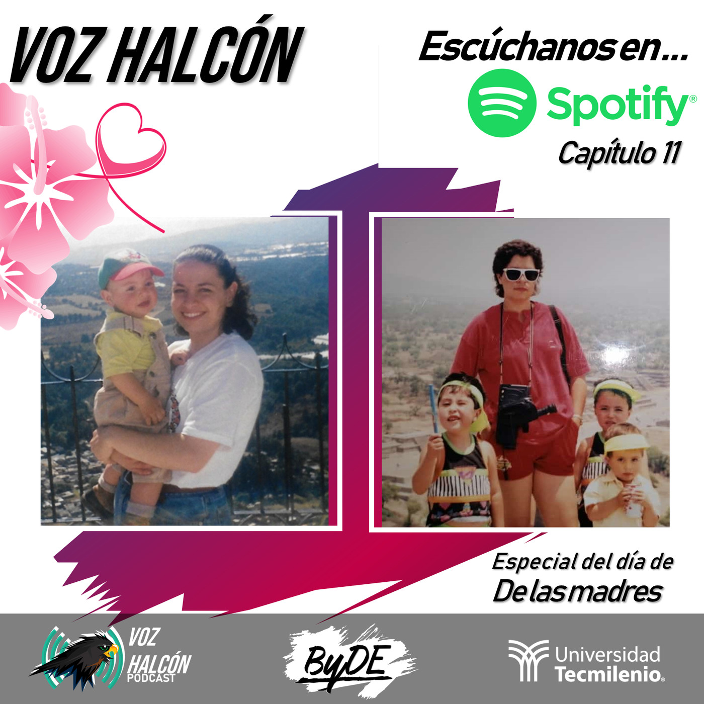 Voz Halcón