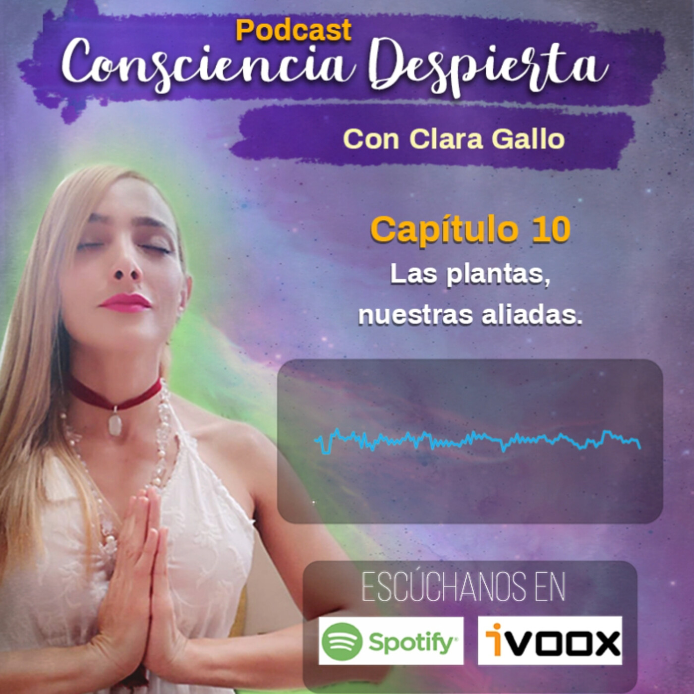 Consciencia Despierta