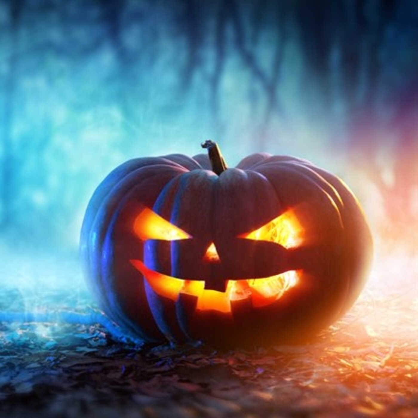 Session Halloween 2020 by djdolly Session Halloween 2020 by djdolly