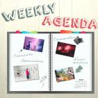 Raquel Cruz Weekly Agenda prog 21