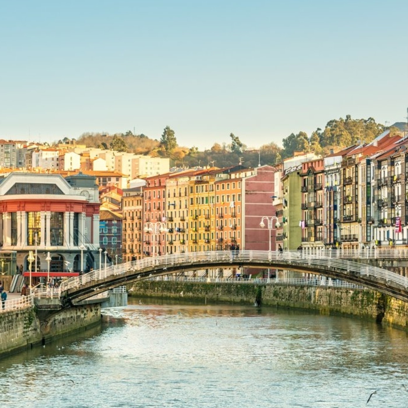 SUR SUR el Eje de los Pueblos 2020