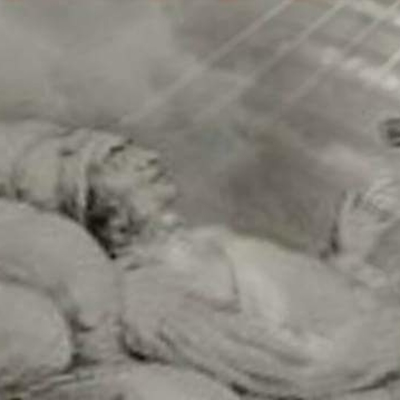 Expreso de Medianoche (Oficial)