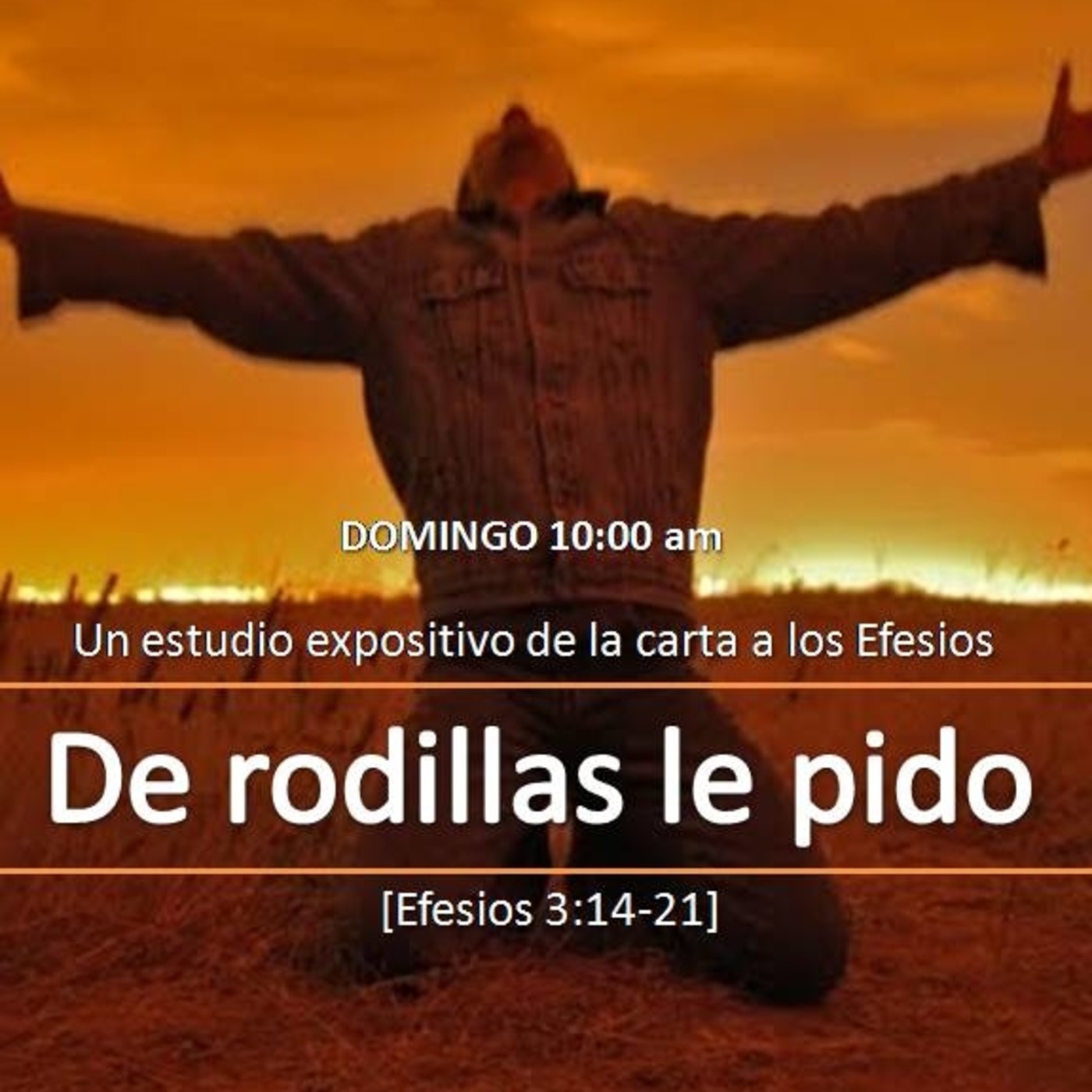 10 De rodillas le pido episode artwork