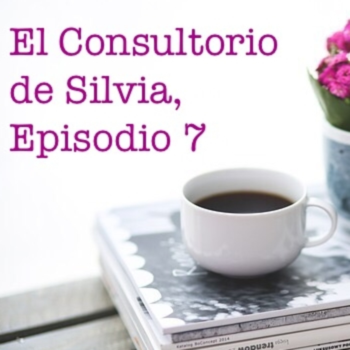 El Consultorio de Silvia