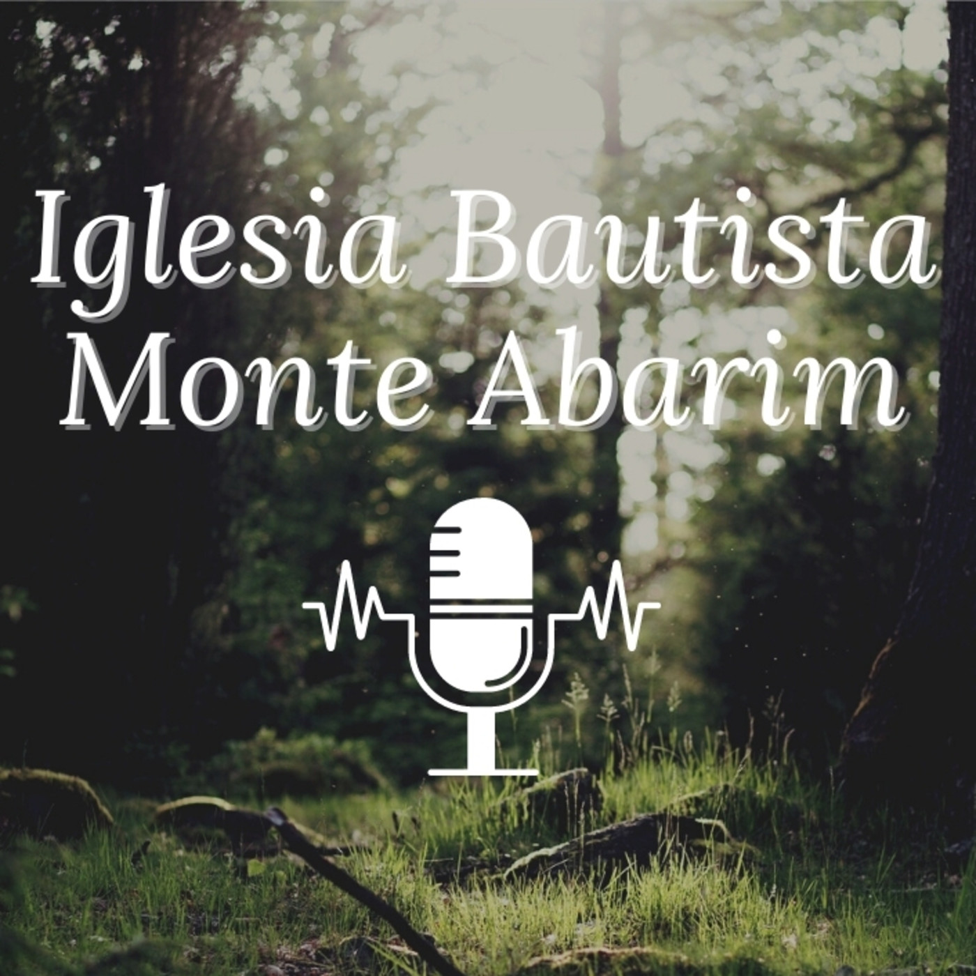 Iglesia Bautista Monte Abarim
