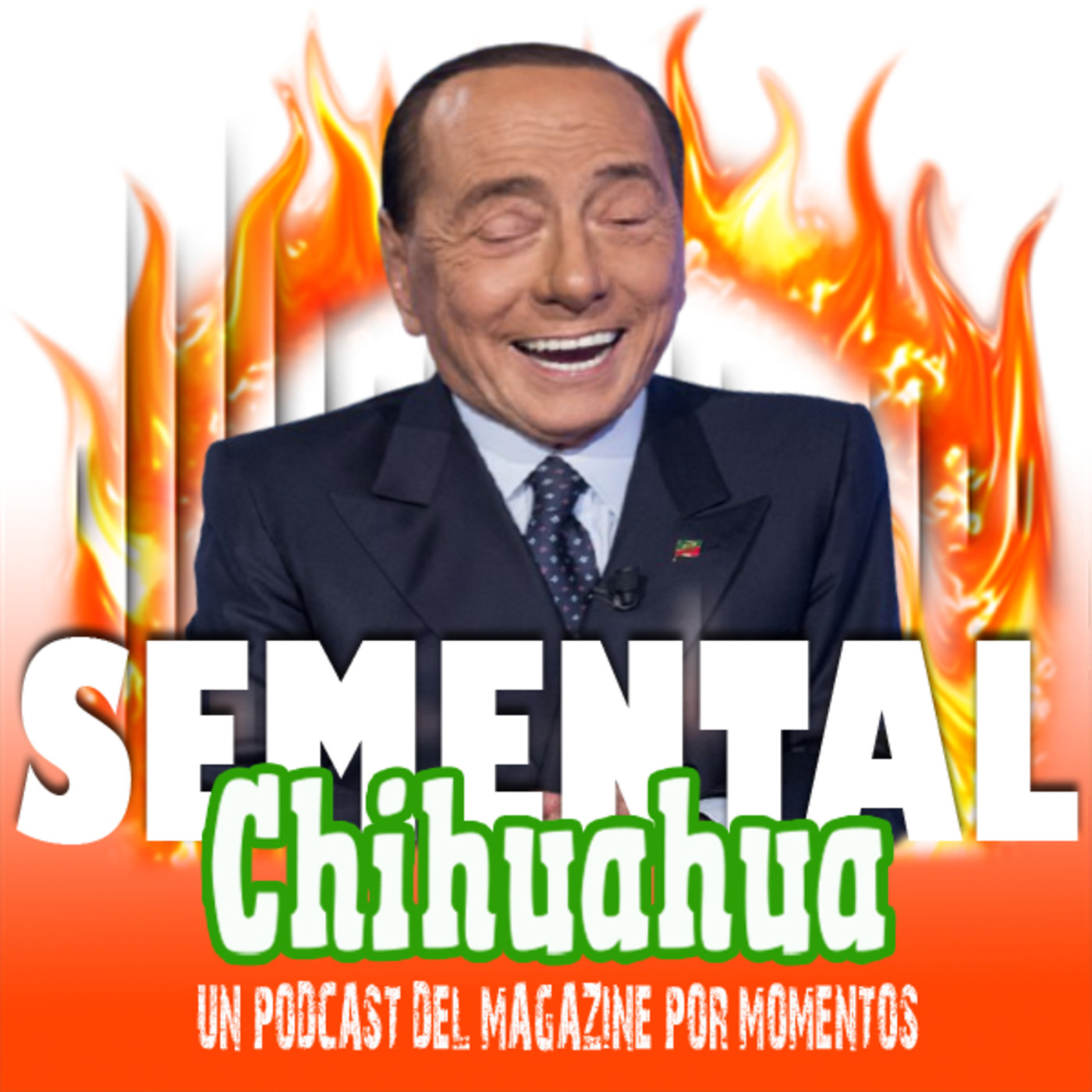 Semental Chihuahua