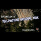 Excursión a Yellowstone (Fragmentos)