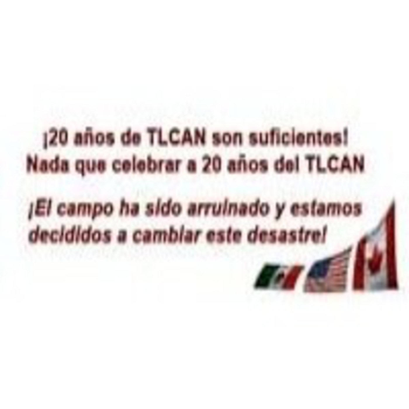 ANEC MEXICO