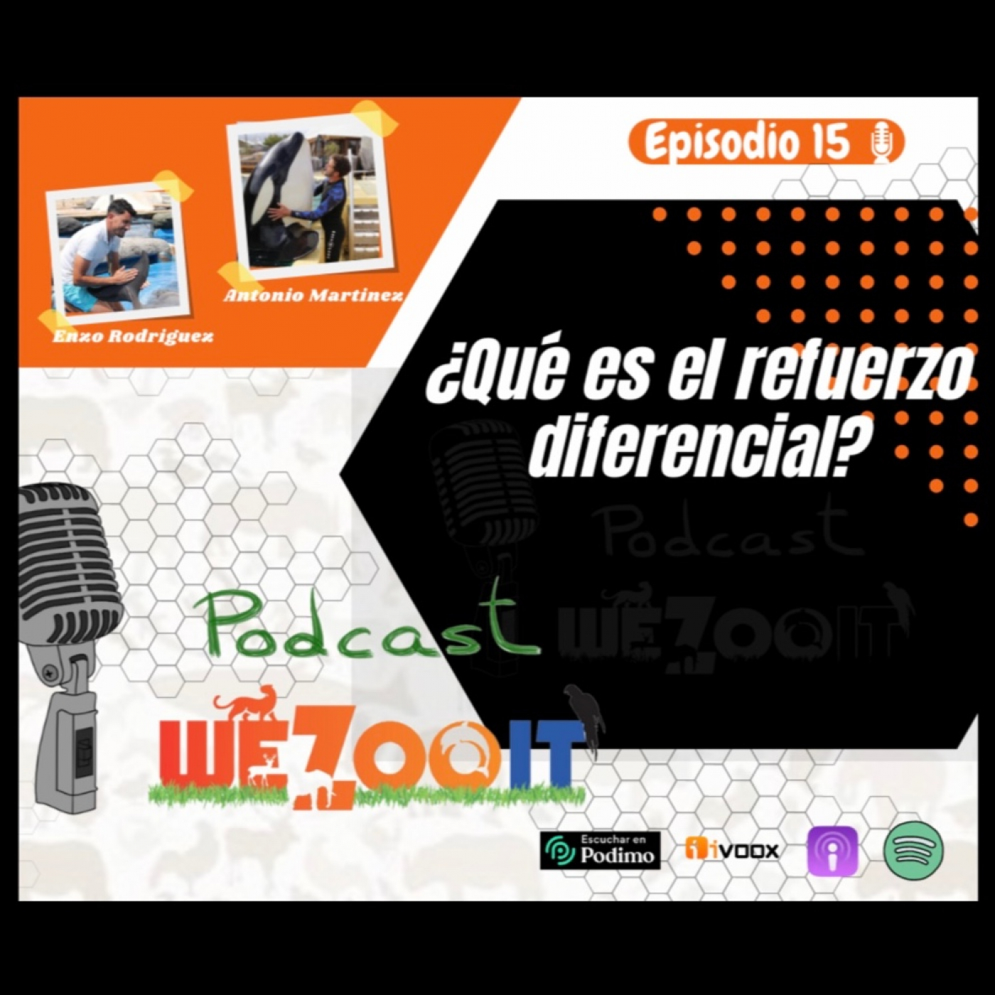 WeZooit Podcast