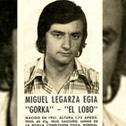 Mikel Lejarza "Lobo"