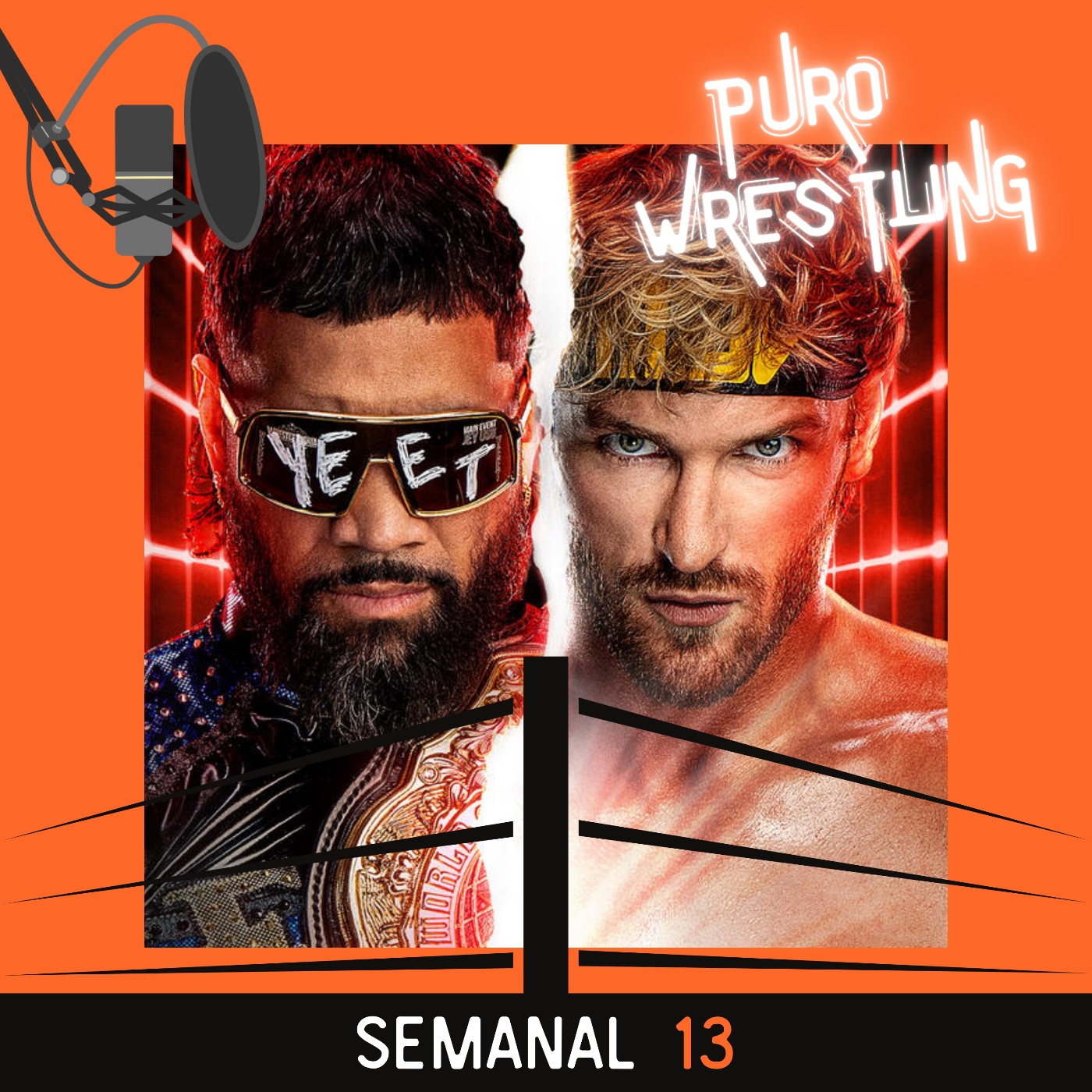 Puro Wrestling