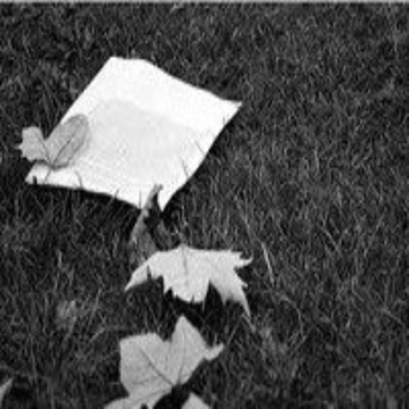 Podcast de manupoeta