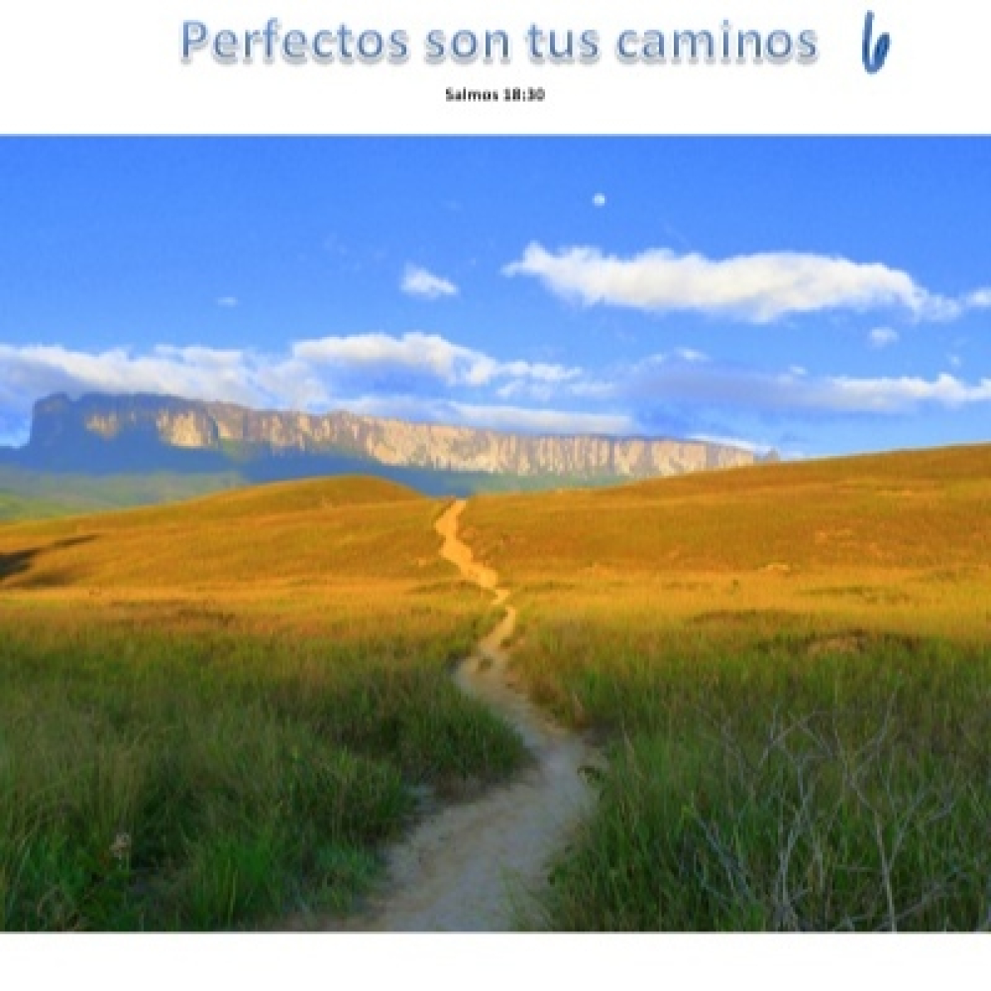 Los numerosos testigos de Jesús episode artwork