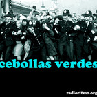 cebollas verdes 172 - 16/enero/2017