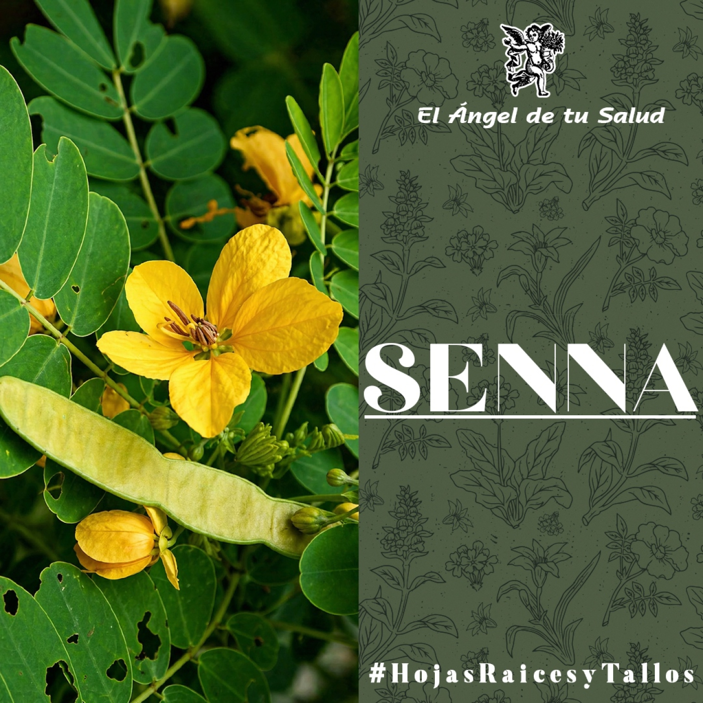 El Ángel de tu Salud - Senna** episode artwork