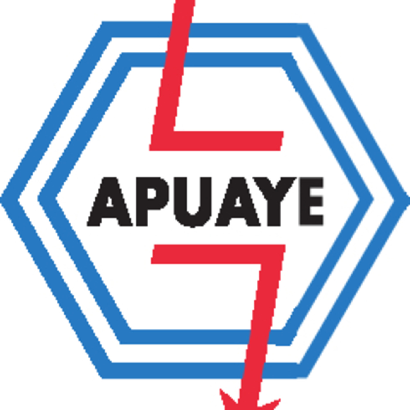 Audiencia Pública 4° RTO EdERSA