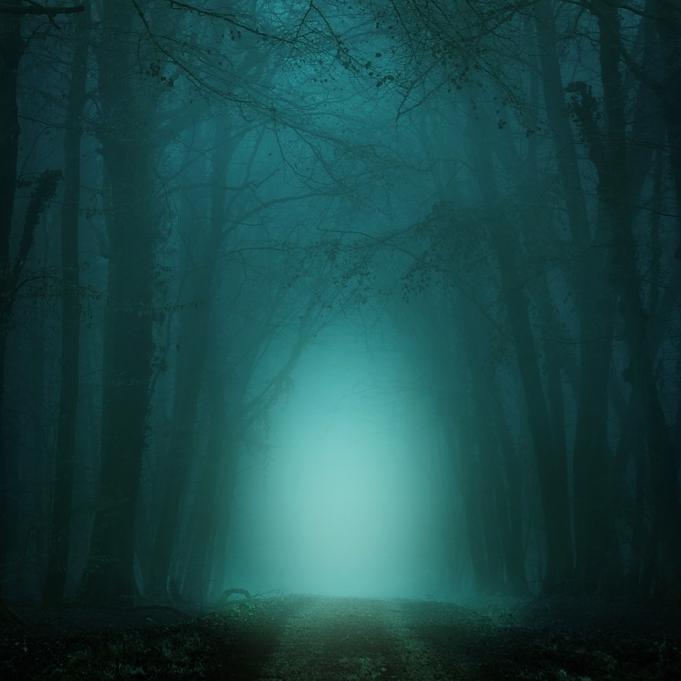 Poetas de la Noche Eterna