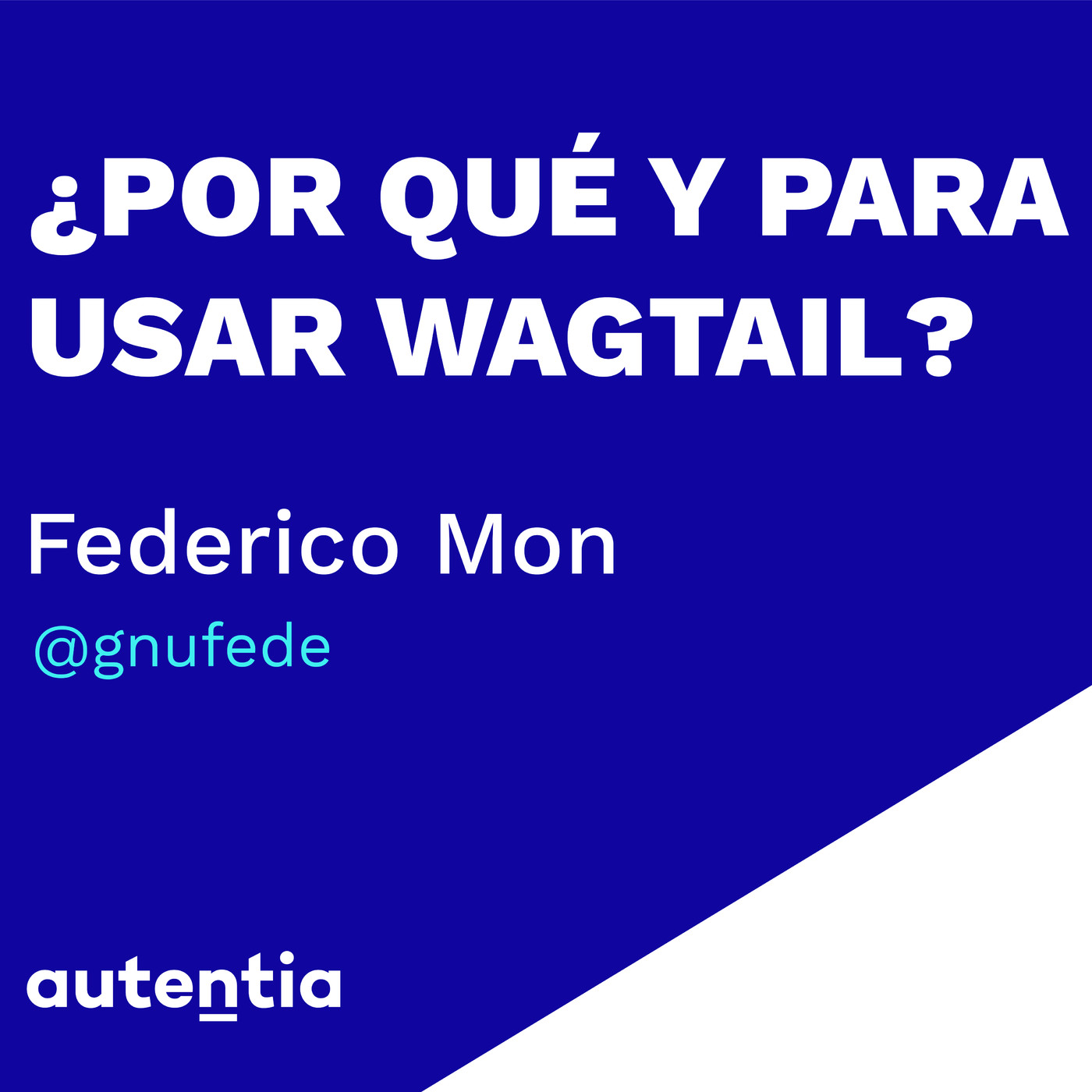 ¿Por qué y para qué usar Wagtail? - Federico Mon