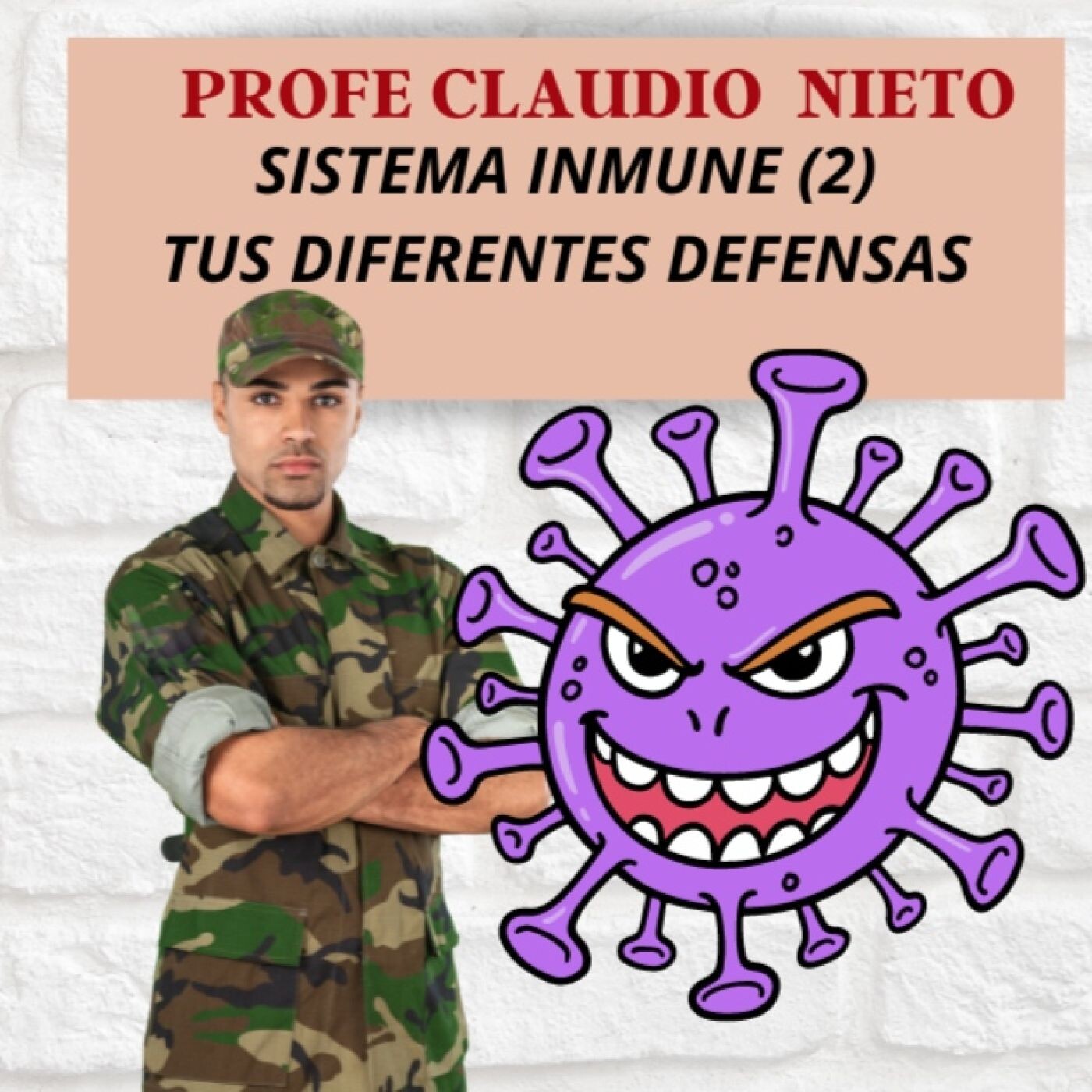 102. ¿CUÁLES son los ÓRGANOS y células del SISTEMA INMUNE? DESCUBRE las 2 respuestas de tus DEFENSAS