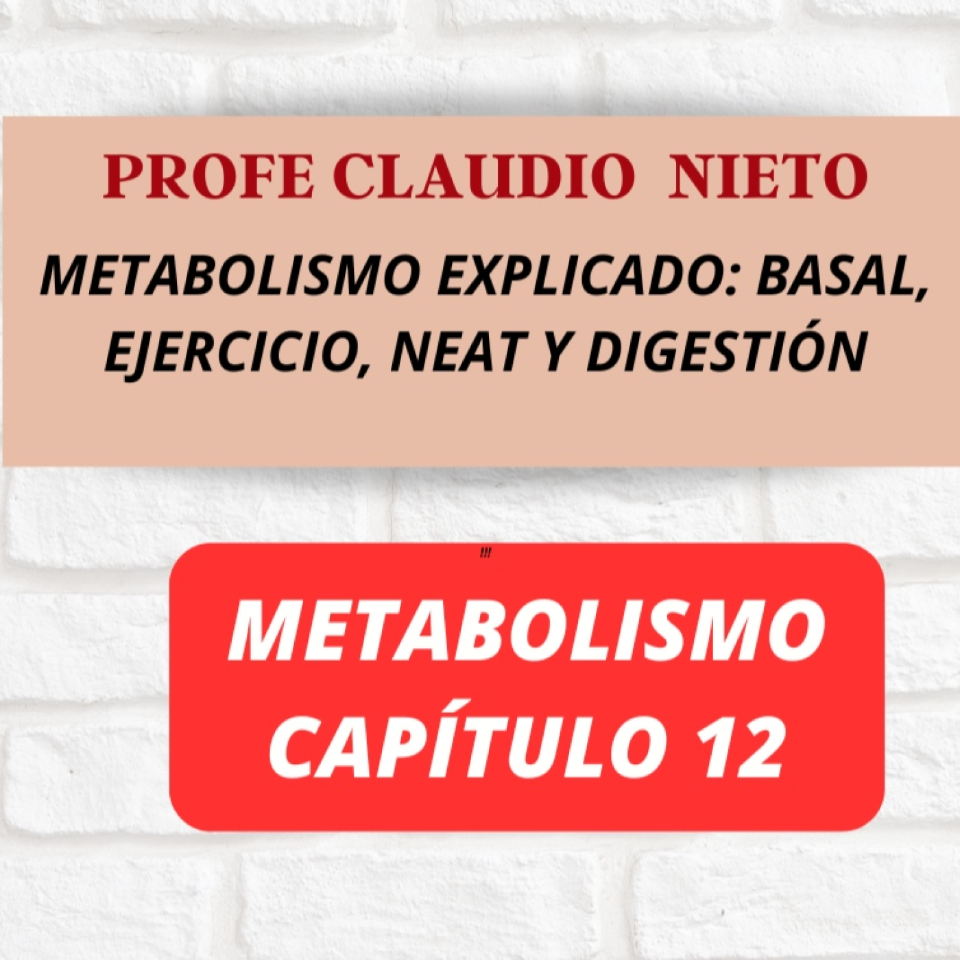 252. Metabolismo 12: Cómo funciona tu metabolismo de verdad (y por qué no engordas solo por comer)