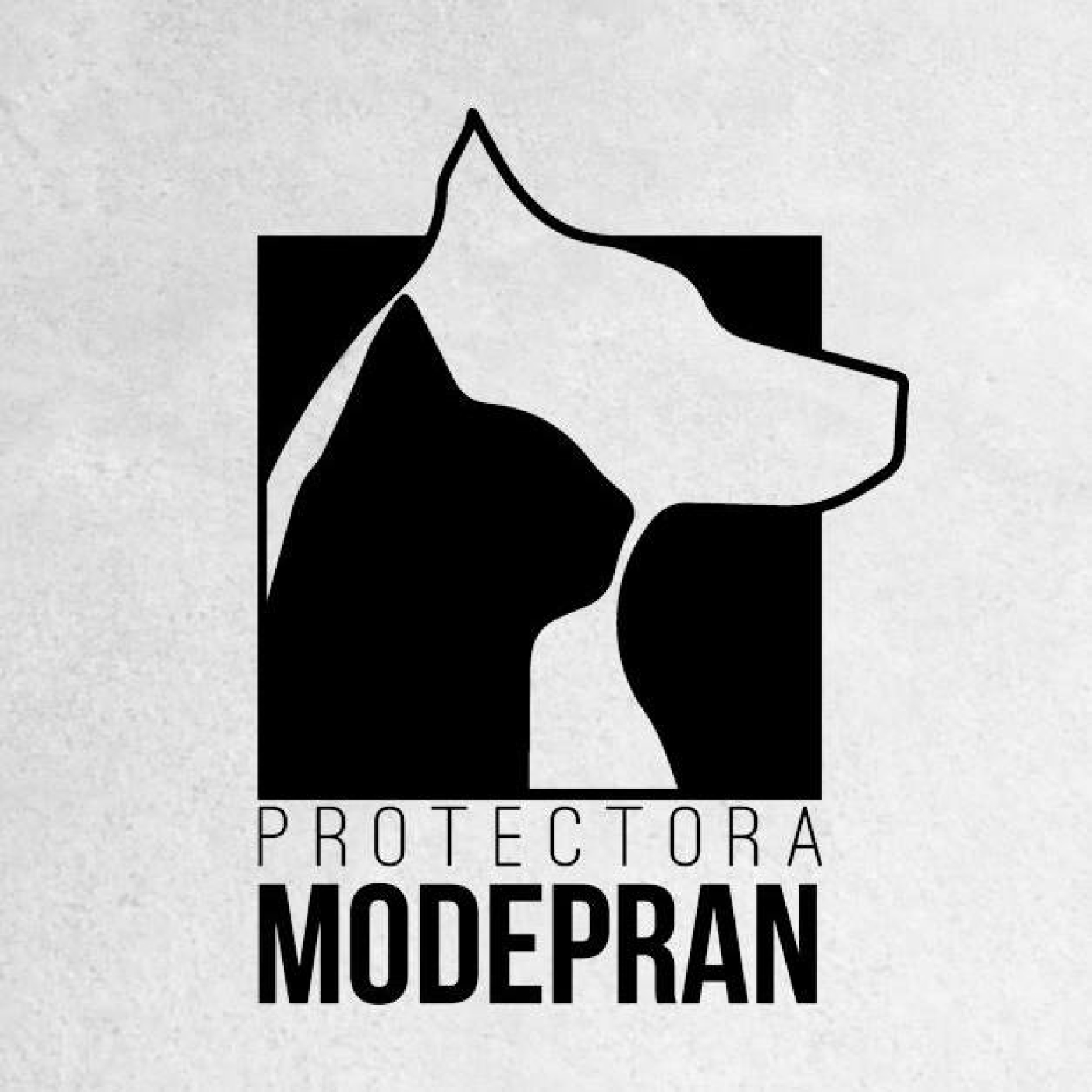 Podcast Galaxia Verde (derechos animales)