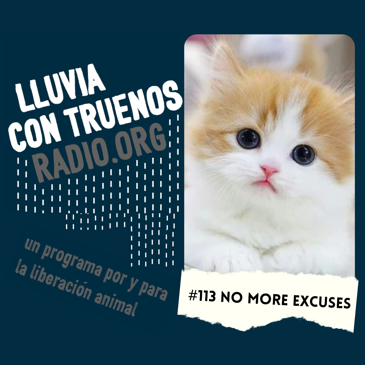 Lluvia con truenos radio