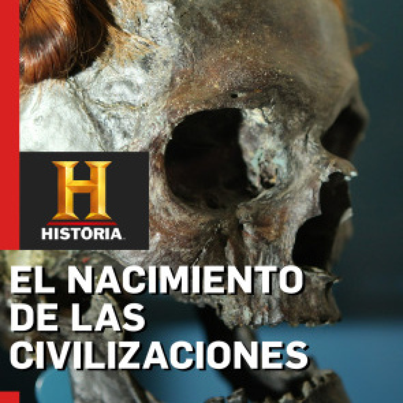 El nacimiento de las civilizaciones: El pueblo germánico