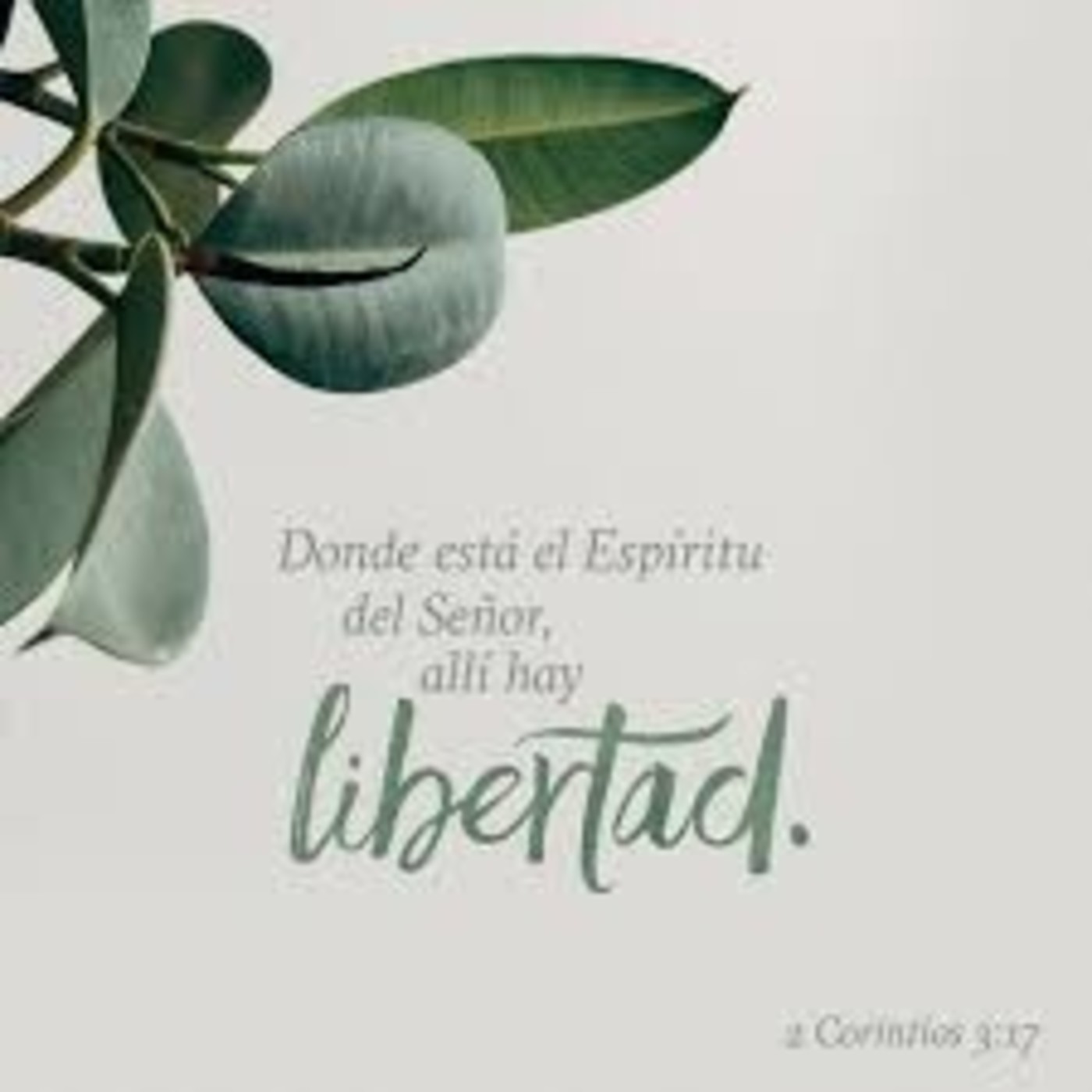 Siempre dispuestos episode artwork