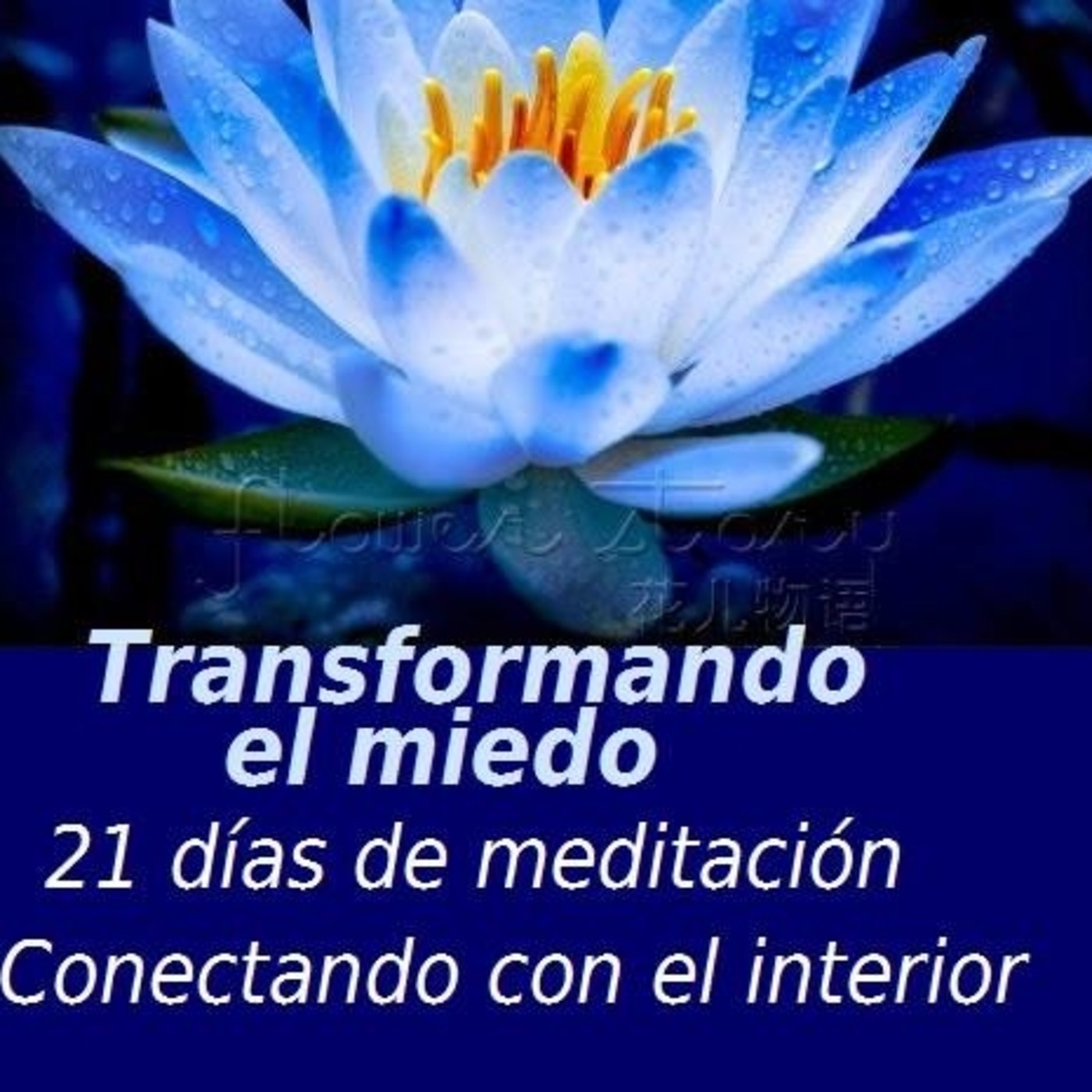 21 días de meditación, conectando con el interior