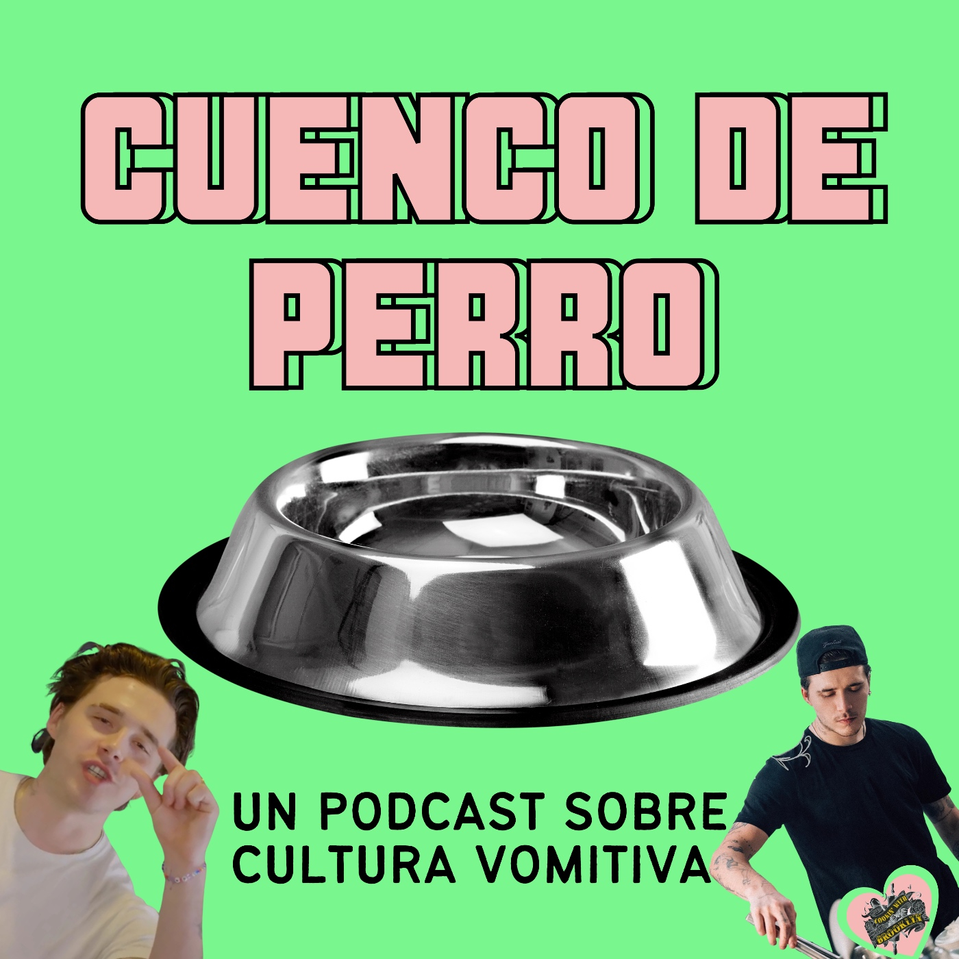 CUENCO DE PERRO