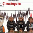 embed image