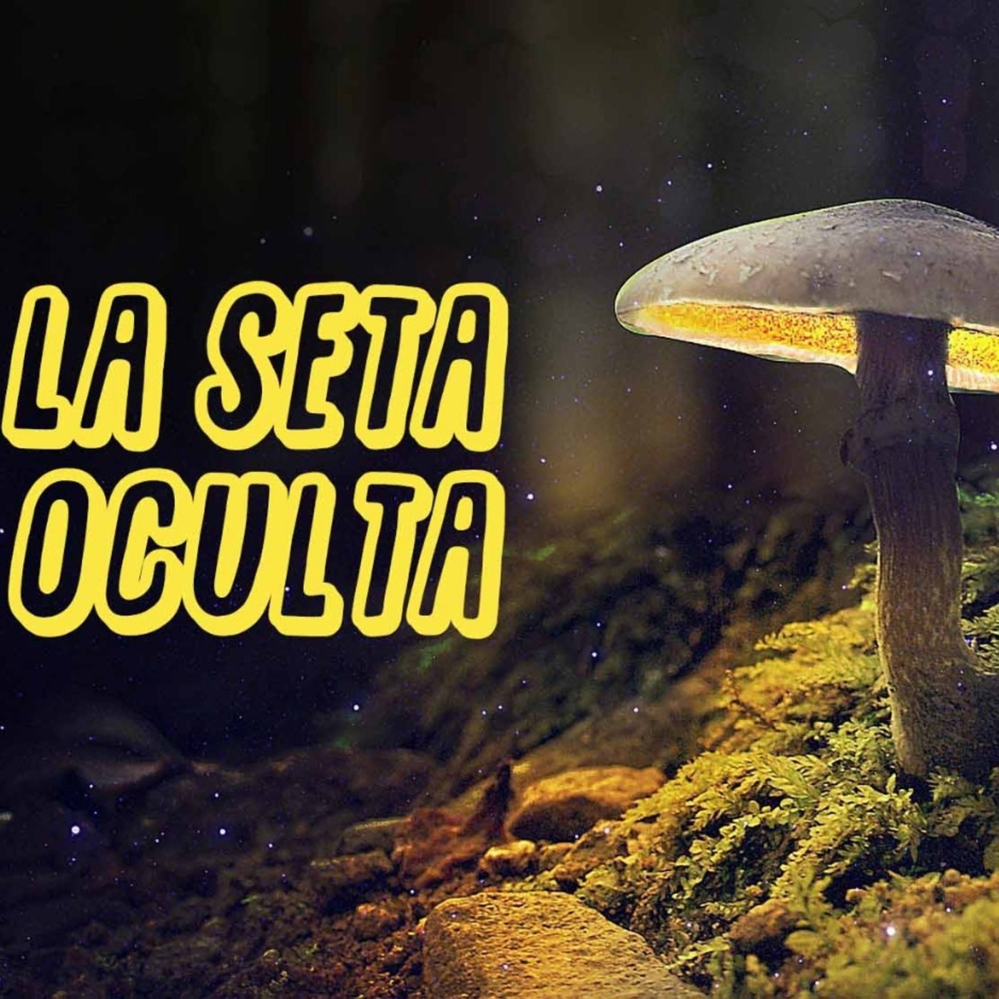 La Seta oculta