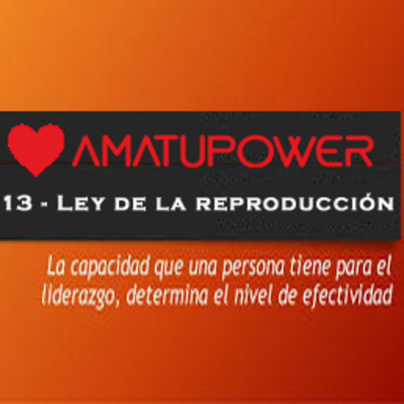 Las 21 leyes Irrefutables del liderazgo de John C.