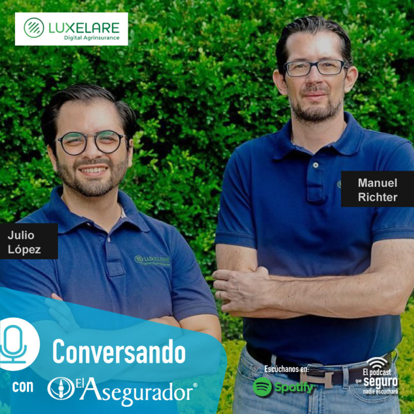 El Asegurador