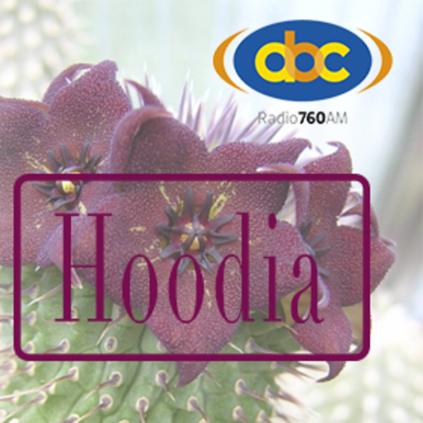 El Ángel de tu Salud - HOODIA episode artwork