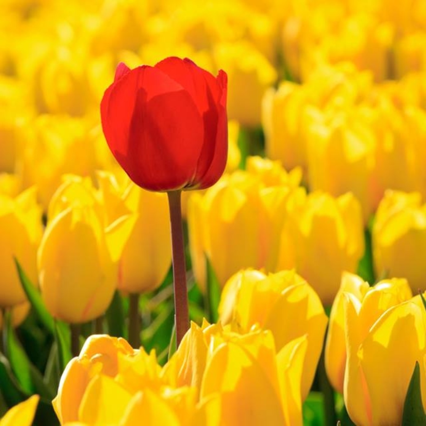 Brahma Kumaris Valencia